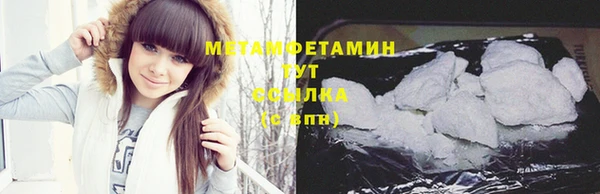 гидра Алексеевка