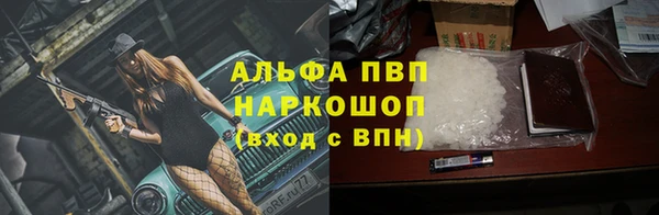 гидра Алексеевка