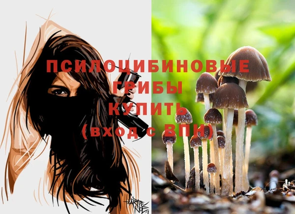 гидра Алексеевка