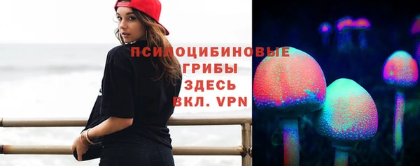 ECSTASY Абаза